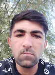 Vasif, 31  , Baku