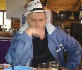 Сергей, 66 лет, Окуловка