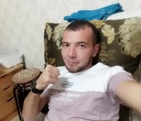 Шахрух, 33 года, Казань