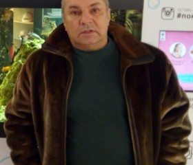 Владимир, 65 лет, Тюмень