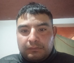 Nicolas octavio, 33 года, Toluca de Lerdo