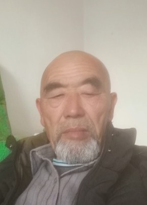 Дунла, 66, Кыргыз Республикасы, Токмок