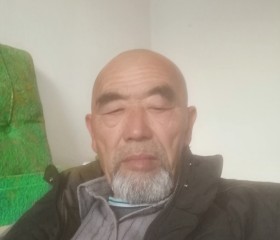 Дунла, 66 лет, Токмок