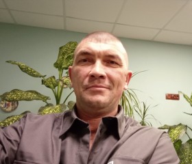 Алексей Семёнов, 41 год, Пермь