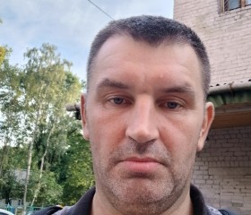 Андрей, 43 года, Выборг