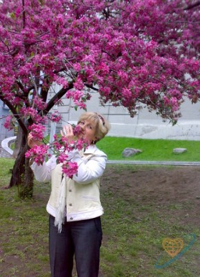 Татьяна, 63, Україна, Київ