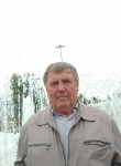 Nikolay, 63, Sovetskiy (KMAO)
