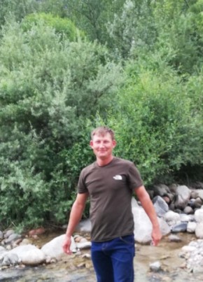 Сергей Недовозин, 37, Қазақстан, Талды - Курган