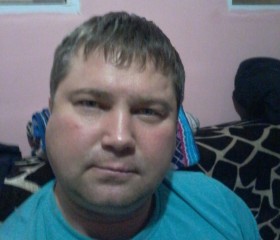 Станислав, 41 год, Тула