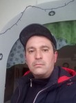 Николай, 48 лет, Вышний Волочек