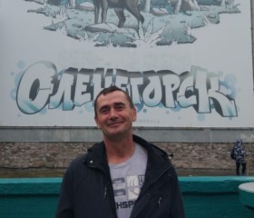 Andrei, 51 год, Лоухи