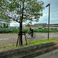 d72c760a8138