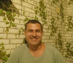 Денис Грибков, 45 лет, Домодедово