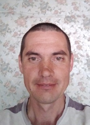 Дмитрий Степан, 47, Россия, Димитровград