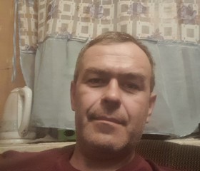 Александр, 52 года, Прокопьевск