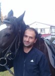 Арман, 35 лет, Краснодар
