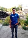 Kemal , 22 года, Amasya