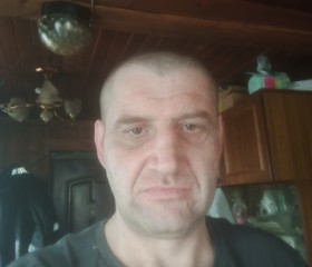 Сергей, 44 года, Луга