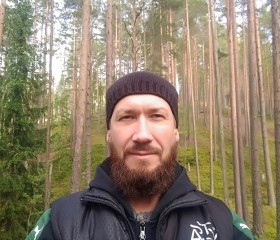 Иван, 40 лет, Зеленогорск (Ленинградская обл.)