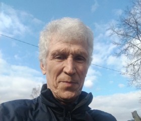 Vasiliy, 63, Moscow