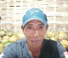 Anto, 47 лет, Kota Mojokerto