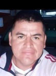 José, 45 лет, Puente Alto