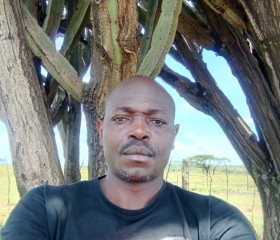 Stephen, 41 год, Nairobi