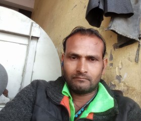 Zeeshan, 37 лет, Mandideep