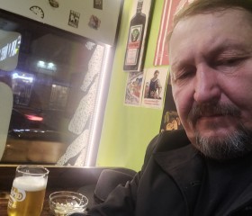Владимир, 54 года, Санкт-Петербург