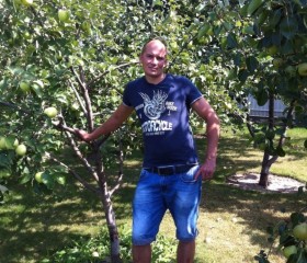 Михаил, 41 год, Ковров