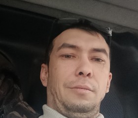 Татарин, 35 лет, Реутов