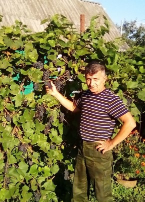 Александр, 53, Россия, Кимовск