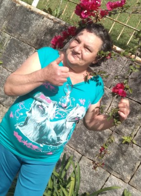 Aparecida Irene, 64, República Federativa do Brasil, Colombo
