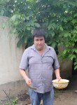 Денис, 39 лет, Toshkent