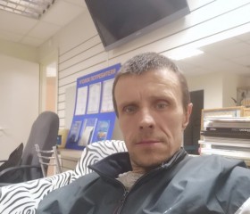 Дмитрий, 43 года, Кадуй