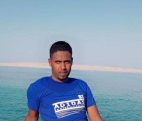 TA, 29, Cairo
