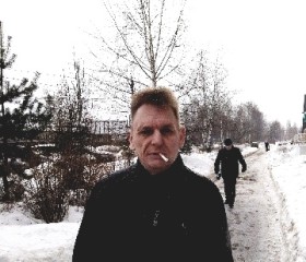 Андрей, 49 лет, Александров