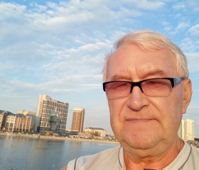 Геннадий, 77 лет, Челябинск