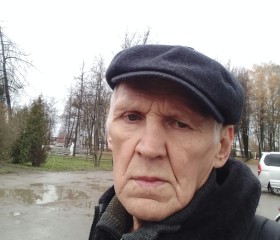 Владимир, 66 лет, Санкт-Петербург