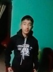 Manish thakur, 18 лет, Shimla