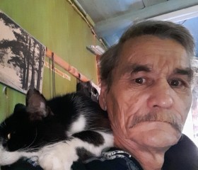 Леонид, 60 лет, Кугеси