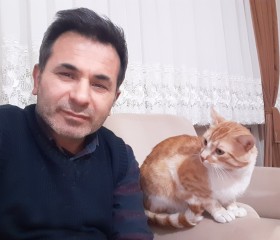 Mustafa Dönmez, 38 лет, Şanlıurfa