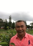 hieu, 66 лет, Ðà Lạt