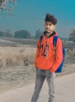 Brand boy, 20 лет, Kanpur