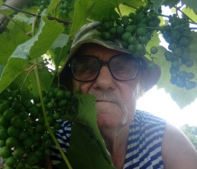 Валерий, 76 лет, Спасск-Дальний