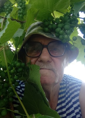 Валерий, 76, Россия, Спасск-Дальний