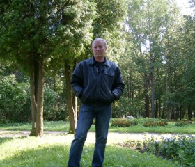Александр, 63 года, Волхов