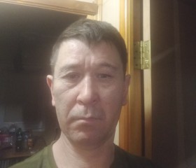 Олег, 51 год, Железногорск-Илимский