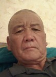 Abdy, 61  , Akkol