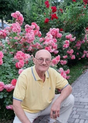 Николай, 63, Україна, Кременчук